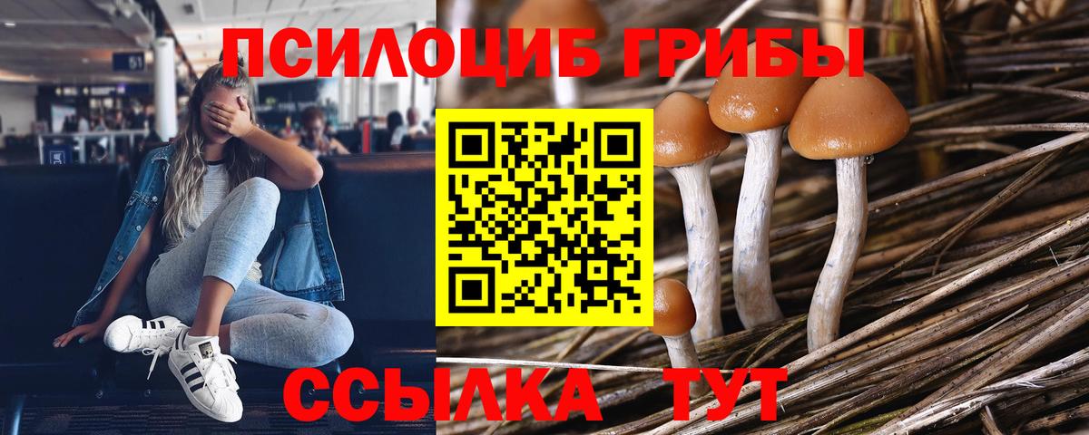 Артёмовский  Галлюциногенные грибы мицелий  Вход с VPN 