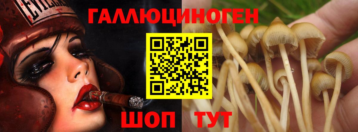Псилоцибиновые грибы ЛСД Артёмовский